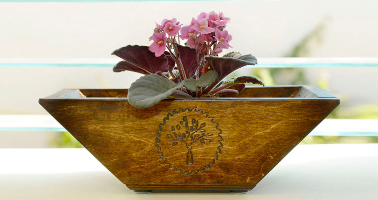 Flower Pot Window